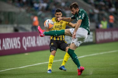 SAO PAULO, SP, BRAZIL: Brezilya 'daki iki Campeonato Brasileiro Srie A takımı arasında futbol maçı