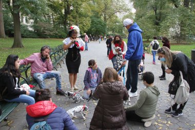 New York, Amerika Birleşik Devletleri: New York, Amerika Birleşik Devletleri 'nde Central Park sahnesi