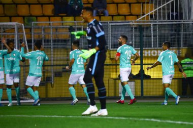 SAO PAULO - OCT 26, 2019: BRASILEIRAO - Match brasileirao, valid for the 21 round of the Brazilian Championship, at Estadio do Morumbi, west zone of Sao Paulo