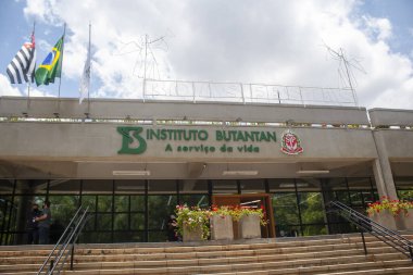 SAO PAULO, SP 18.11.2019 - Sao Paulo, Brezilya 'daki yaşam sahnesi