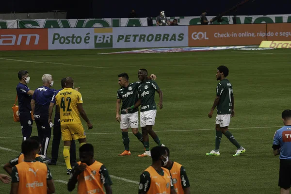 Lega Nazionale Brasiliana Calcio San Paolo Brasile Partita Calcio Campionato — Foto Stock