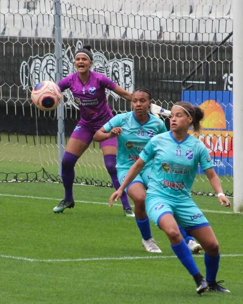 Brezilya Ulusal Futbol Ligi Sao Paulo Brezilya Brezilya Futbol Şampiyonası — Stok fotoğraf