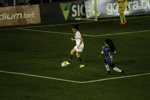 Brasilianska National Soccer League Sao Paulo Brasilien Fotboll Match Brasilianska — Stockfoto