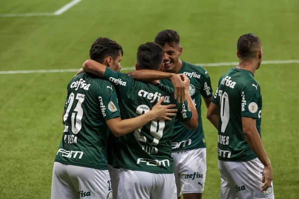 Brasilianische Fußballliga Sao Paulo Brasilien Fußballspiel Brasilianische Meisterschaft — Stockfoto