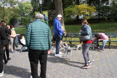 18 Ekim 2020 'de, Central Park, New York, ABD: Kathleen Carrasiquilo' nun Central Park 'ta Cadılar Bayramı için Dalmaçyalı köpeklerle fotoğraf çekimi yapması ve böylece parka gidenlerin fotoğraf çekme fırsatını yakalaması. (Fotoğraf: Niyi Fote / TheNew
