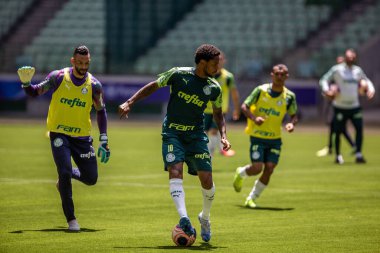 Sao Paulo - 12 Şubat 2020: Sentetik çimenlikte antrenman sırasında PALMEIRAS oyuncularının eğitilmesi.