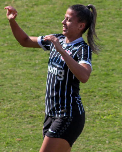 Brasilianische Fußballliga Sao Paulo Brasilien Fußballspiel Brasilianische Meisterschaft — Stockfoto