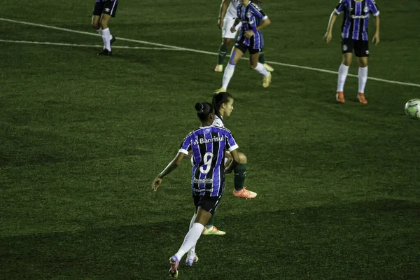 Liga Nacional Fútbol Brasil Sao Paulo Brasil Partido Fútbol Campeonato — Foto de Stock