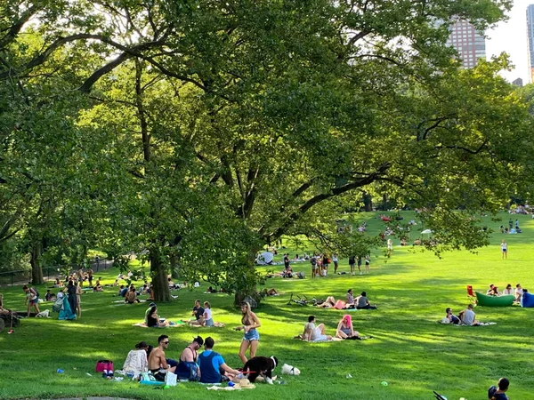 Julho 2020 Nova York Eua Pessoas São Vistas Fazendo Piquenique — Fotografia de Stock