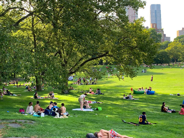 July 26, 2020, New York, USA: People are seen having picnic at Central Park amid Coronavirus pandemic reopening phases. The good weather contributes to this and people are seen enjoying themselves playing sports and having fun as well. (Foto: Niyi Fo