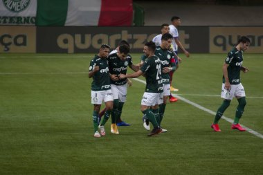 Brezilya Ulusal Futbol Ligi: Sao Paulo, Brezilya: Brezilya Futbol Şampiyonası 