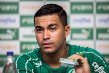 SAO PAULO - JAN 20, 209: PALMEIRAS final of the Paulista Championship at Etadio do Pacaembu, in Sao Paulo