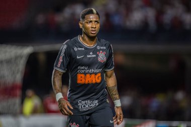 SAO PAULO, SP, BRAZIL: Brezilya 'daki iki Campeonato Brasileiro Srie A takımı arasında futbol maçı