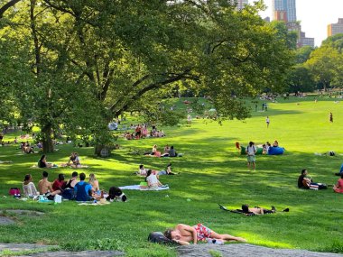 26 Temmuz 2020, New York, ABD: İnsanlar Central Park 'ta Coronavirus salgınının yeniden başladığı safhalarda piknik yaparken görülüyor. İyi hava buna katkıda bulunuyor ve insanlar spor yaparken ve eğlenirken de görülüyorlar. (Fotoğraf: Niyi Fo