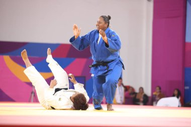 Pan Amerikan Oyunları (Panamericanos de 2019) Lima, Peru 'da çok spor müsabakaları