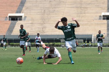 SAO PAULO - JAN 20, 209: PALMEIRAS final of the Paulista Championship at Etadio do Pacaembu, in Sao Paulo