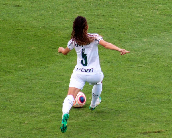 Braziliaanse Nationale Voetbal Liga Sao Paulo Brazilië Voetbalwedstrijd Braziliaans Kampioenschap — Stockfoto