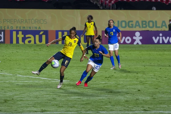 Lega Nazionale Brasiliana Calcio San Paolo Brasile Partita Calcio Campionato — Foto Stock