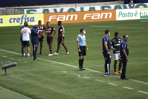 Lega Nazionale Brasiliana Calcio San Paolo Brasile Partita Calcio Campionato — Foto Stock