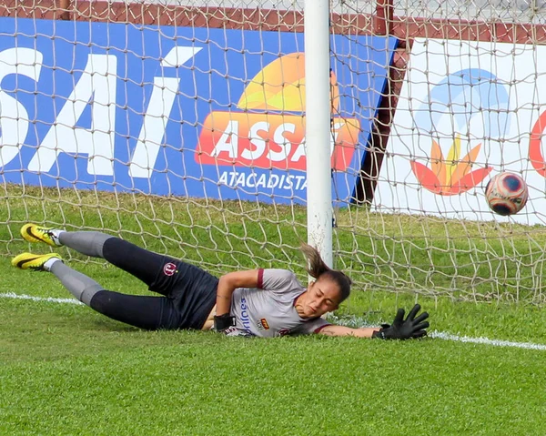 Braziliaanse Nationale Voetbal Liga Sao Paulo Brazilië Voetbalwedstrijd Braziliaans Kampioenschap — Stockfoto