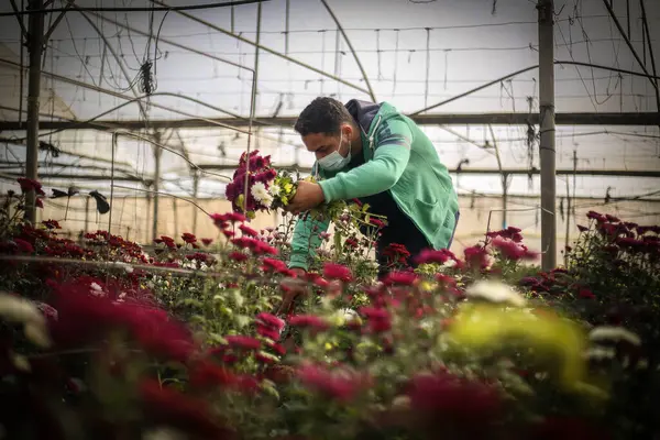 Gaza Palestina 2021 Scena Miejska Gazie Palestyna — Zdjęcie stockowe