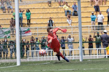 SAO PAULO - JAN 20, 209: PALMEIRAS final of the Paulista Championship at Etadio do Pacaembu, in Sao Paulo