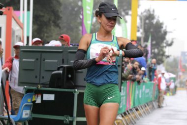 Pan Amerikan Oyunları (Panamericanos de 2019) Lima, Peru 'da çok spor müsabakaları