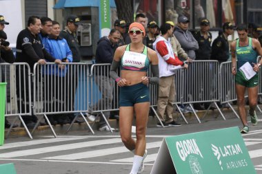 Pan Amerikan Oyunları (Panamericanos de 2019) Lima, Peru 'da çok spor müsabakaları