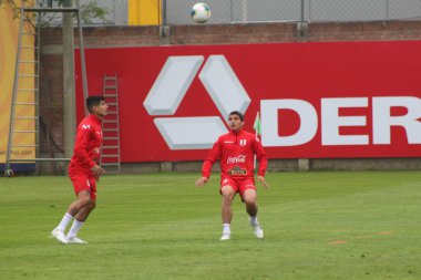 Pan Amerikan Oyunları (Panamericanos de 2019) Lima, Peru 'da çok spor müsabakaları