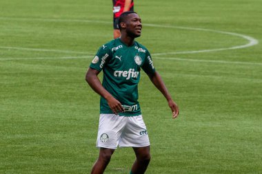 SAO PAULO, SP, BRAZIL, 28.11.2020: Sao Paulo, Brezilya 'da iki takım arasında futbol maçı