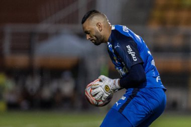 SAO PAULO, SP, BRAZIL: Brezilya 'daki iki Campeonato Brasileiro Srie A takımı arasında futbol maçı
