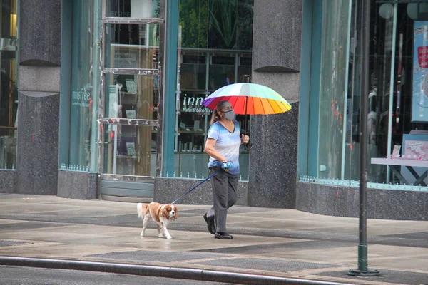 Septembre 2020 New York États Unis Une Légère Pluie Force — Photo