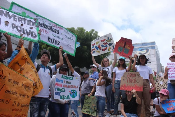 São Paulo 2019 Pessoas Manifestam Pelo Clima — Fotografia de Stock