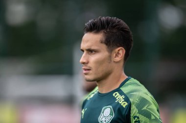 SAO PAULO, SP, BRAZIL: Brezilya 'daki iki Campeonato Brasileiro Srie A takımı arasında futbol maçı