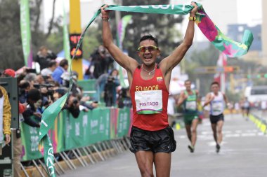 Pan Amerikan Oyunları (Panamericanos de 2019) Lima, Peru 'da çok spor müsabakaları