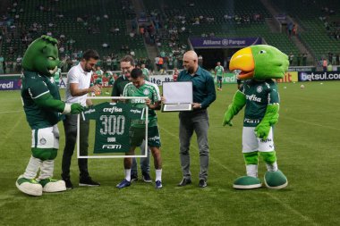 SAO PAULO - JAN 20, 209: PALMEIRAS final of the Paulista Championship at Etadio do Pacaembu, in Sao Paulo