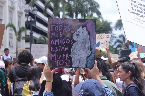 Sao Paulo 2019 Människor Manifesterar För Klimatet — Stockfoto