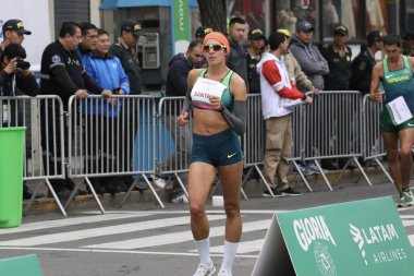 Pan Amerikan Oyunları (Panamericanos de 2019) Lima, Peru 'da çok spor müsabakaları