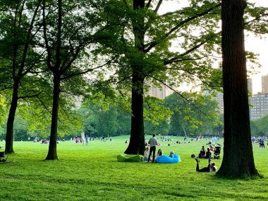 NOVA YORK, EUA, 25.05.2020 - COVID-19 - FERIADO MEMORIAL GÜNÜ - Pessoas se reuniram no Central Park para memorar o Anma Günü. Algumas pessoas usavam mascaras, enquanto outras nao usavam durante a pandemia de coronavirus (covid-19). Pessoas kadar 