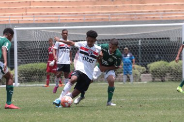 SAO PAULO - JAN 20, 209: PALMEIRAS final of the Paulista Championship at Etadio do Pacaembu, in Sao Paulo