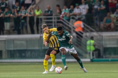 SAO PAULO, SP, BRAZIL: Brezilya 'daki iki Campeonato Brasileiro Srie A takımı arasında futbol maçı