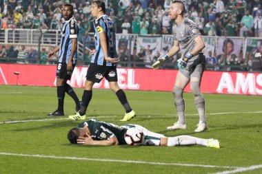 SAO PAULO, SP, 27.08.2019 - Solaryum - GREMIO. Willian, Palmeiras, ağlama ta chance perdida em partida contra o Gremio, valida pelas quartas de final da Copa Libertadores da America, no Estadio do Pacaembu, na zona oeste da capital paulista, na noit