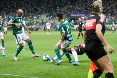 SAO PAULO - JAN 20, 209: PALMEIRAS final of the Paulista Championship at Etadio do Pacaembu, in Sao Paulo