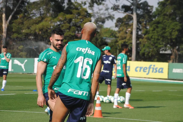 Sao Paulo February 2020 Training Palmeiras Players Training Synthetic Lawn —  Fotos de Stock