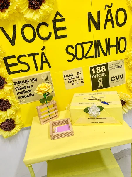 San Paolo 2020 Salute Giallo Ottobre Ubs Humaita Unità Sanitaria — Foto Stock