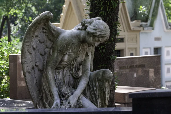 Día Fiesta Muerta Cementerio Del Consolacao Noviembre 2020 Sao Paulo —  Fotos de Stock