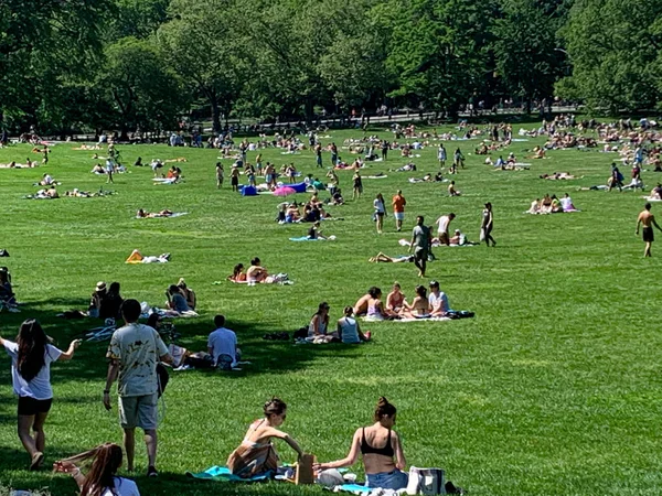 Nova York Eua 2020 Covid Clima Central Park Com Graus — Photo
