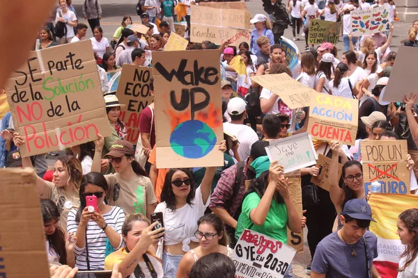 São Paulo 2019 Pessoas Manifestam Pelo Clima — Fotografia de Stock