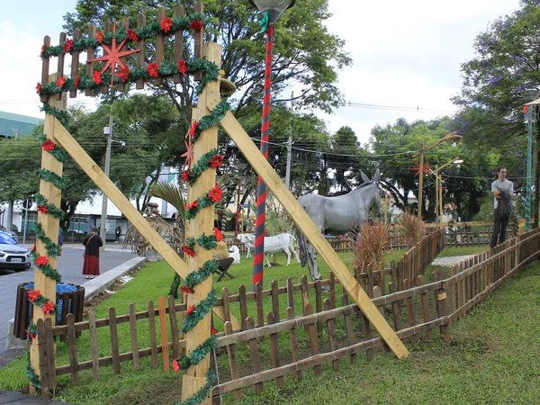 Curitiba 2019 Crib Navidad Belén Santuario Nuestra Señora Del Perpetuo — Foto de Stock