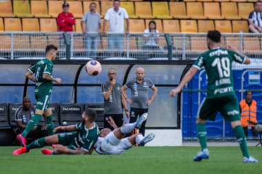 SAO PAULO, SP, BRAZIL: Brezilya 'daki iki Campeonato Brasileiro Srie A takımı arasında futbol maçı